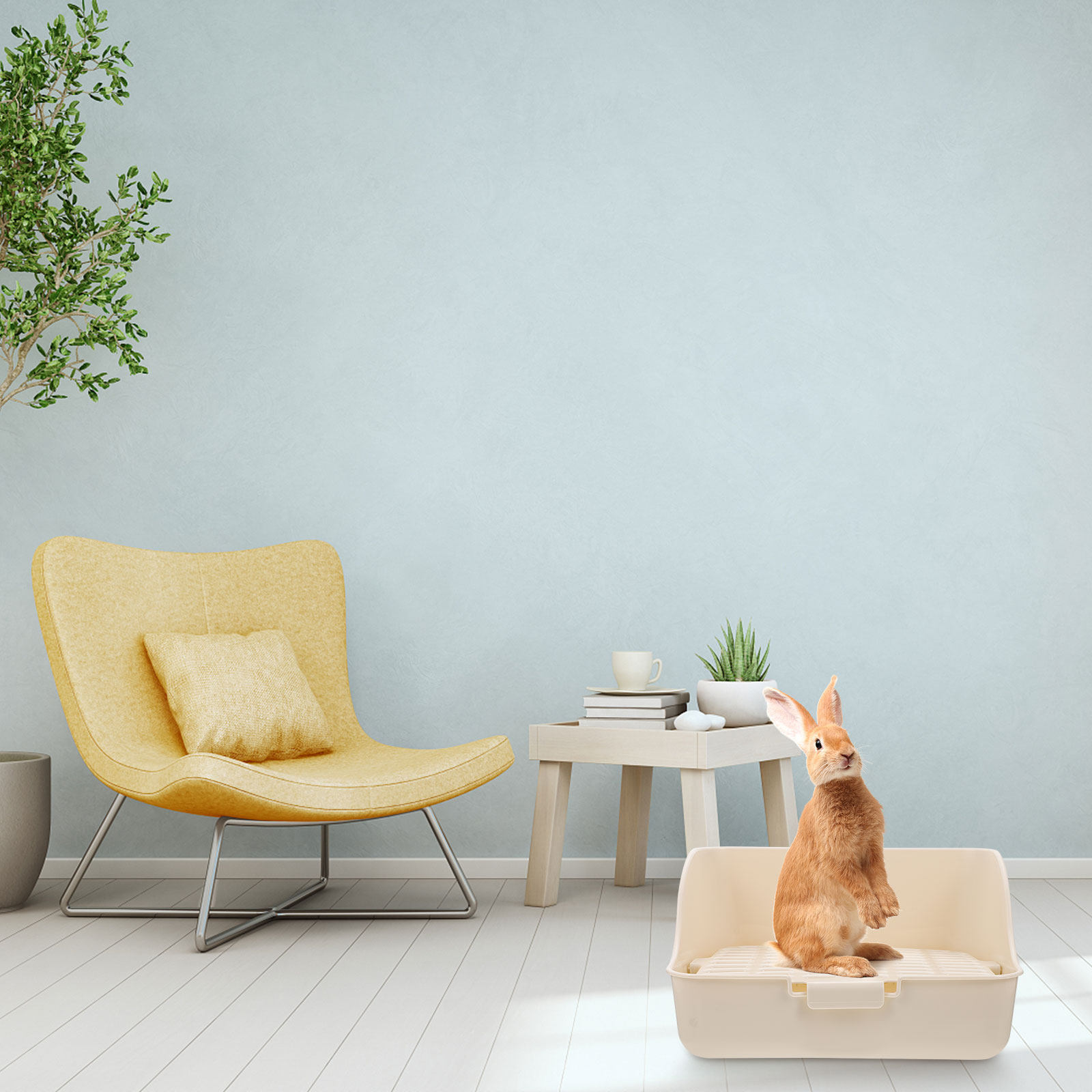 Furniture Quality Control - Klein dieren toilet van hoge kwaliteit,