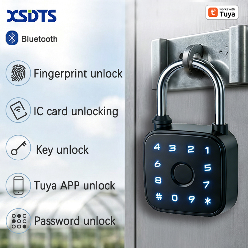 Cabinet Lock Key - Tuya Smart Hangslot, Vingerafdrukkaart Wachtwoord Sleutel