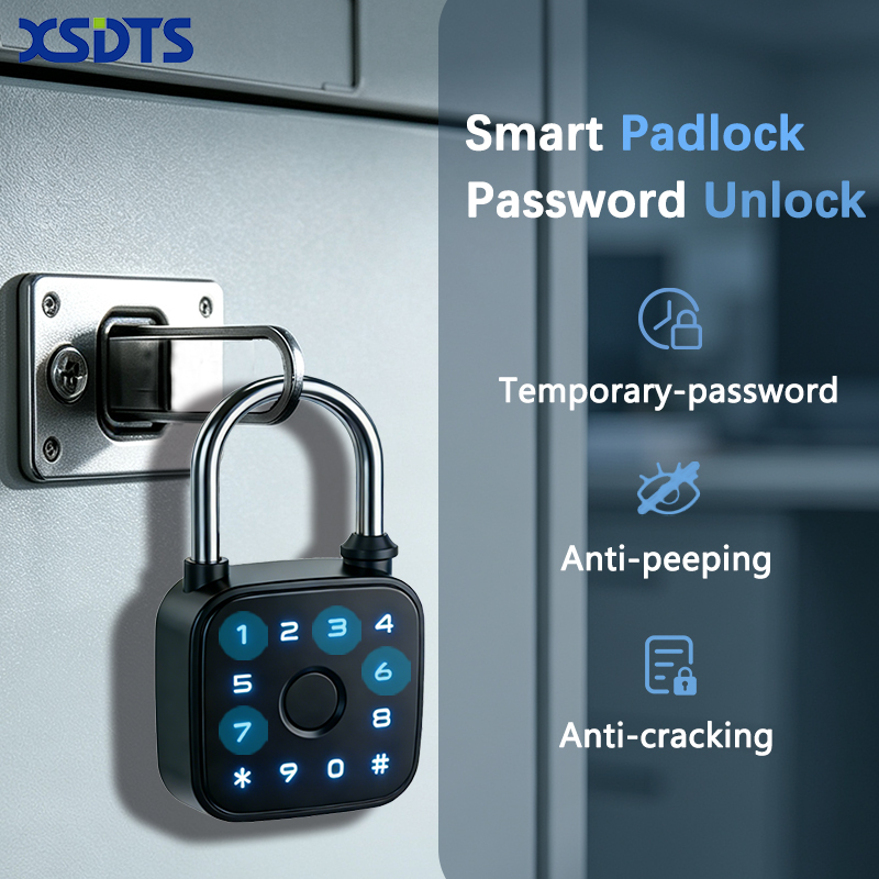 Tuya Smart Hangslot, Vingerafd - Cabinet Lock Key recensie en prijs